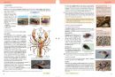 Přírodopis 6 - Úvod do přírodopisu - učebnice, Čtení s porozuměním (3. vydání)